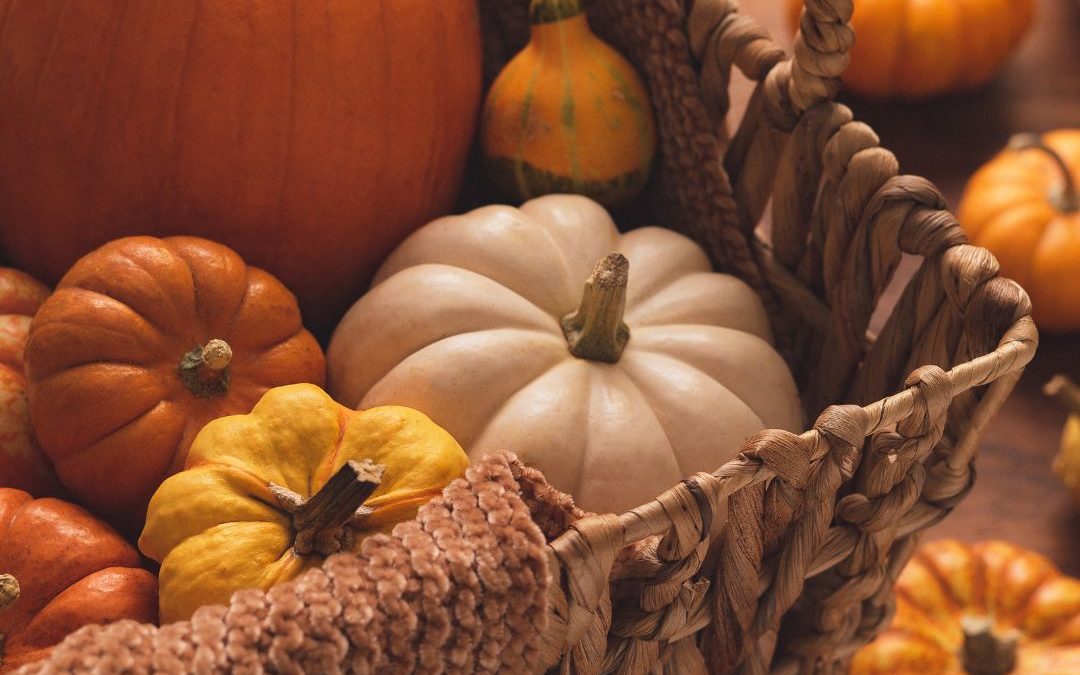 ABC d´autunno – la zucca e le primizie della stagione